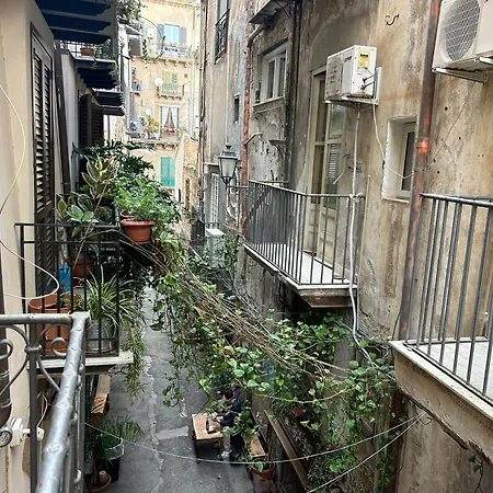 Triscele House - Corrieri